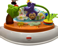 secondhand Fisher Price Jumperoo Activity Center, Animal Activity