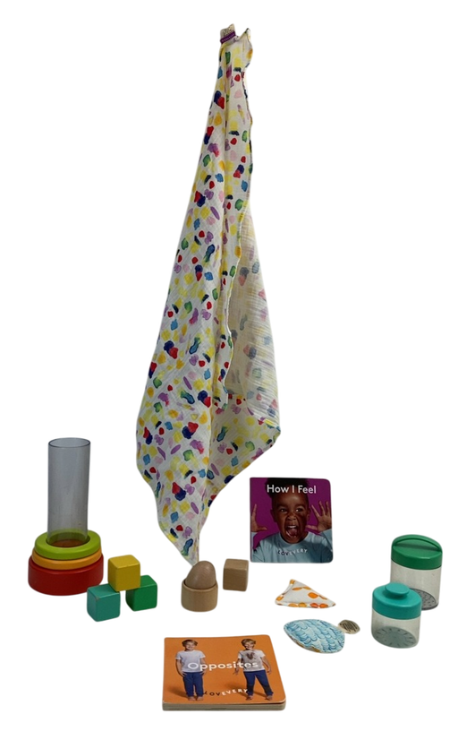 Shop Lovevery The Explorer Play Kit at GoodBuy Gear