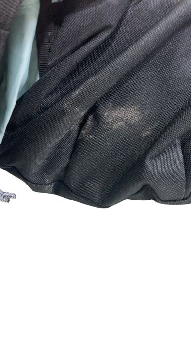 Shop Thule Sapling Child Carrier, Alaska Blue at GoodBuy Gear