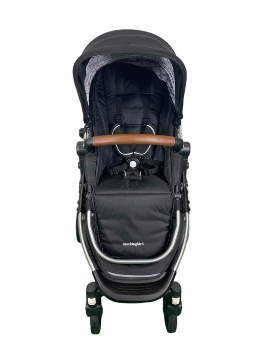 used Standard Strollers