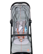 used Standard Strollers