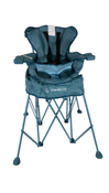 Shop Baby Delight Go with Me Venture Deluxe Portable Chair, Blue Wave at GoodBuy Gear
