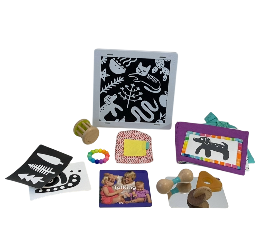 Lovevery The Charmer Play Kit — GoodBuy Gear