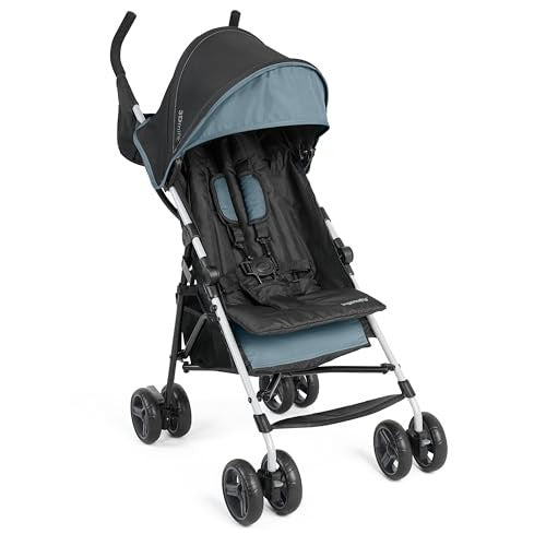 Ingenuity 3D Mini Convenience Stroller, Slate