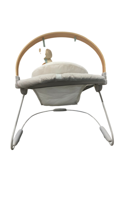 Shop Ingenuity Cozy Spot Soothing Baby Bouncer, Nate at GoodBuy Gear