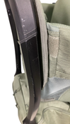 Shop Thule Sapling Child Carrier, Agave at GoodBuy Gear
