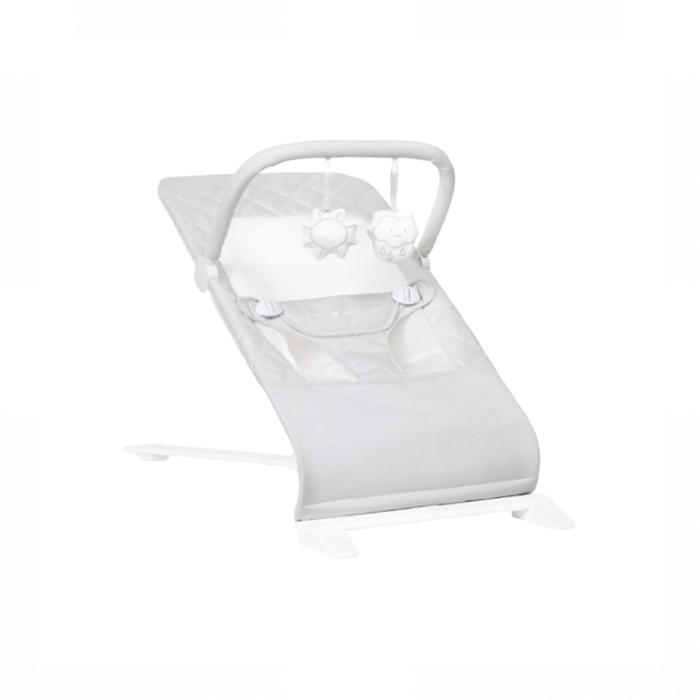 Shop Baby Delight Alpine Deluxe Portable Bouncer, Driftwood Grey at GoodBuy Gear