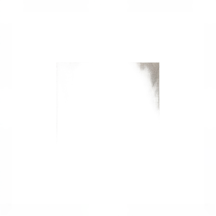 no bg image