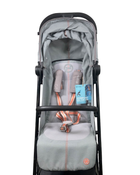 used Standard Strollers