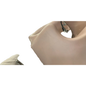 Shop Bumbo Floor Seat PLUS+, Sonoran Rose at GoodBuy Gear