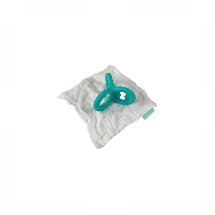 Shop Lovevery The Charmer Play Kit at GoodBuy Gear