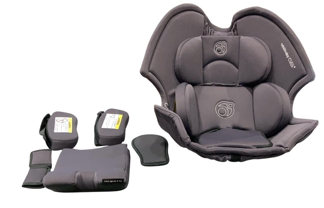Shop DRAFT - Orbit Baby G5 Infant Car Seat Liner, Dark Grey at GoodBuy Gear