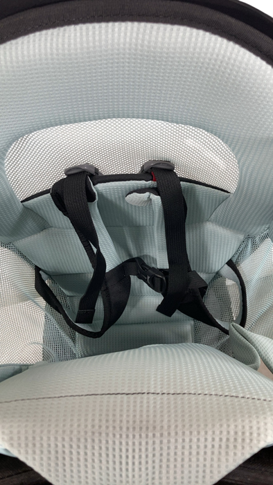 Shop Thule Sapling Child Carrier, Black at GoodBuy Gear