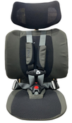 Shop WAYB Pico Portable Car Seat, 2024, Earth at GoodBuy Gear