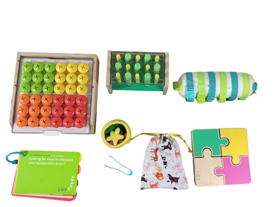 Lovevery The Companion Play Kit — GoodBuy Gear