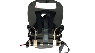 Shop WAYB Pico Portable Car Seat, 2023, Earth at GoodBuy Gear