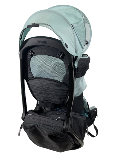 Shop Thule Sapling Child Carrier, Black at GoodBuy Gear