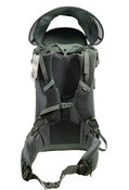 Shop Thule Sapling Child Carrier, Agave at GoodBuy Gear