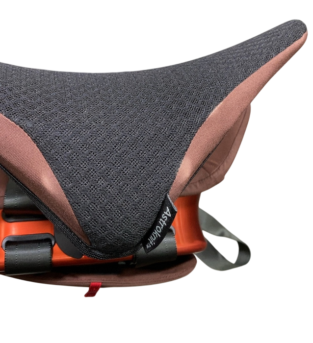 Shop WAYB Pico Portable Car Seat, 2024, Golden Hour at GoodBuy Gear