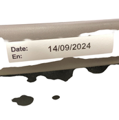 Shop Cybex Gazelle S Modular Stroller, 2024, Seashell Beige, Taupe Frame at GoodBuy Gear