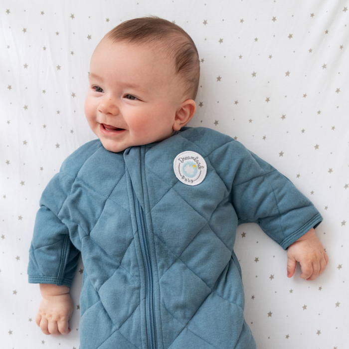 Shop Dreamland Weighted Transition Swaddle, Varios Sizes & Colors at GoodBuy Gear