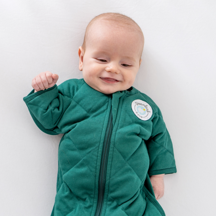 Shop Dreamland Weighted Transition Swaddle, Varios Sizes & Colors at GoodBuy Gear