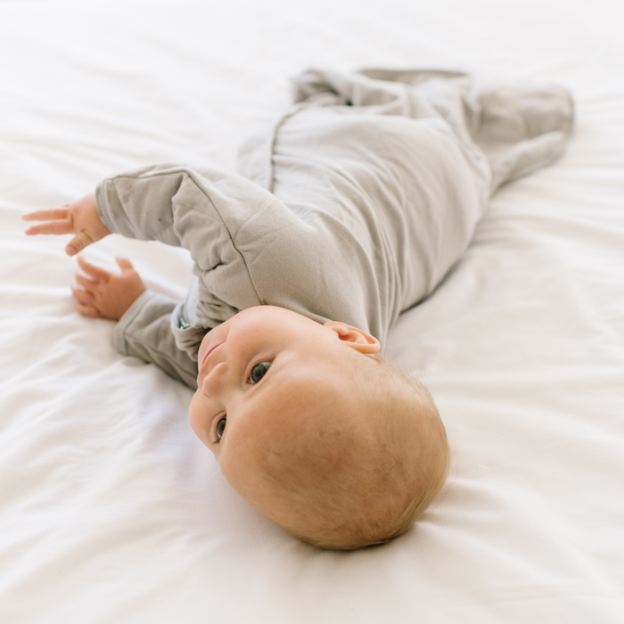 Shop Dreamland Weighted Transition Swaddle, Varios Sizes & Colors at GoodBuy Gear