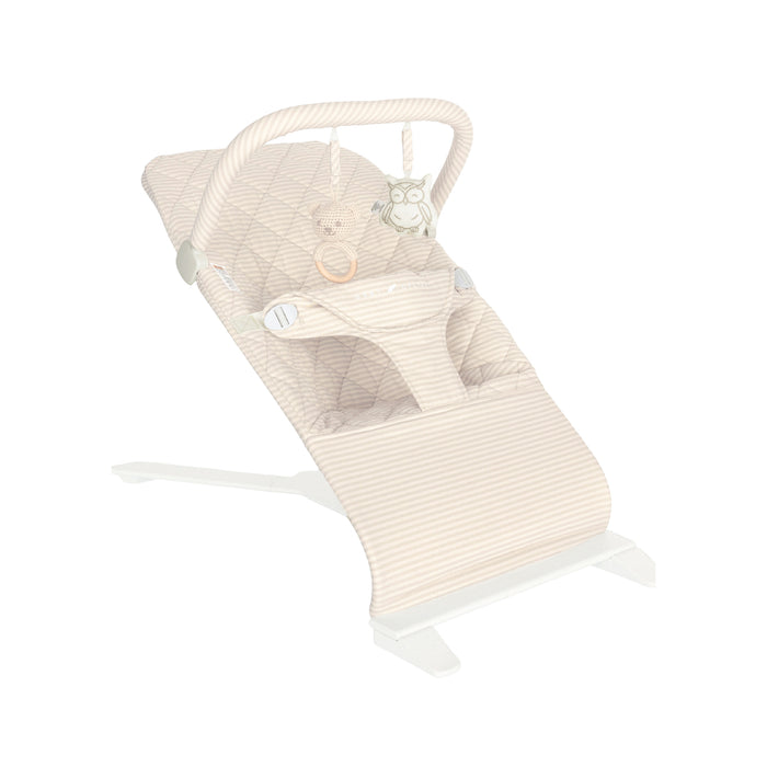 Baby Delight Alpine Deluxe Portable Bouncer, Tan Linen Stripe