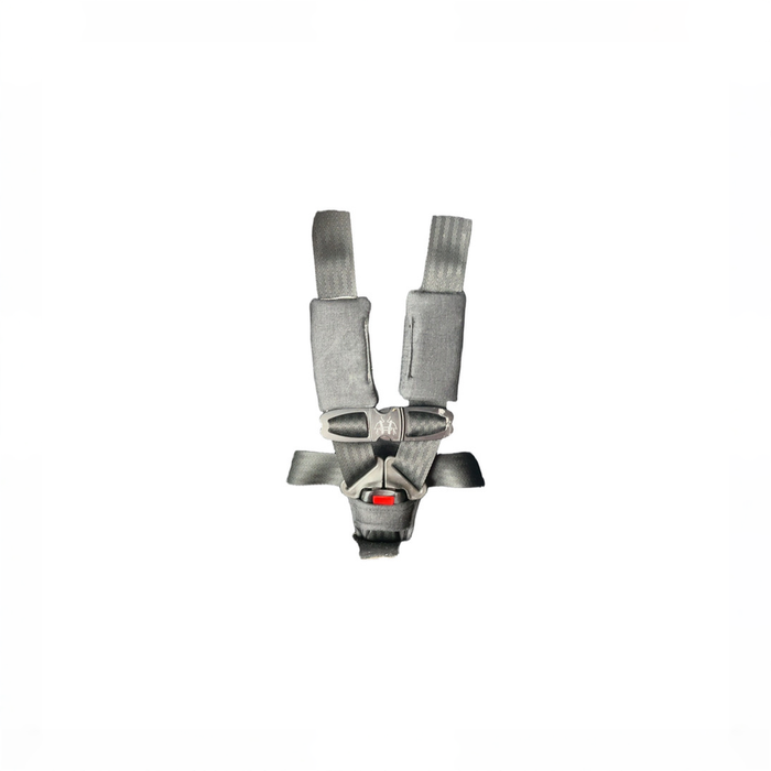 Shop Clek Foonf Convertible Car Seat, 2021, Mammoth at GoodBuy Gear