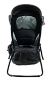 Shop Thule Sapling Child Carrier, Black at GoodBuy Gear