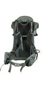Shop Thule Sapling Child Carrier, Agave at GoodBuy Gear