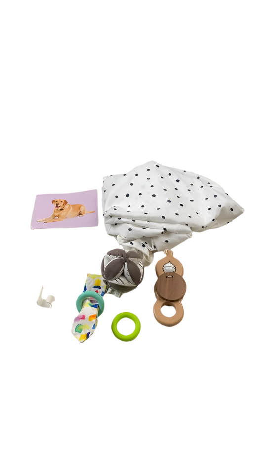 Shop Lovevery The Play Gym at GoodBuy Gear