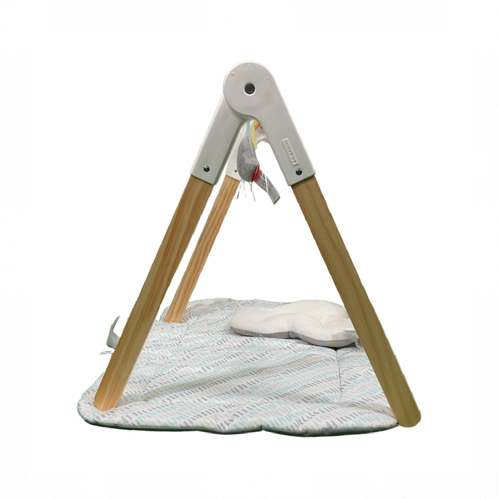 Shop Skip Hop Silver Lining Cloud Wooden Activity Gym at GoodBuy Gear