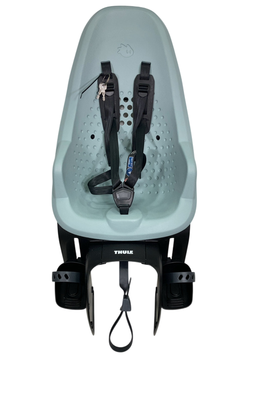 Shop Thule Yepp 2 Maxi, Alaska, Rack Mount at GoodBuy Gear