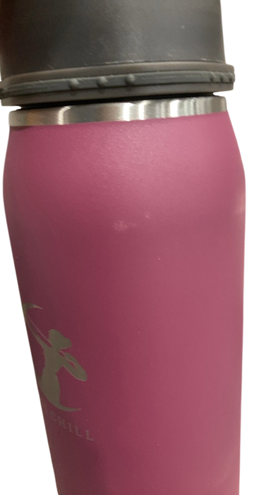 Shop Ceres Chill Legacy Breastmilk Chiller (32oz), Plum at GoodBuy Gear