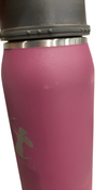 Shop Ceres Chill Legacy Breastmilk Chiller (32oz), Plum at GoodBuy Gear