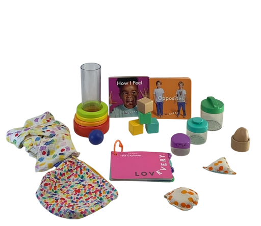 Shop Lovevery The Explorer Play Kit at GoodBuy Gear