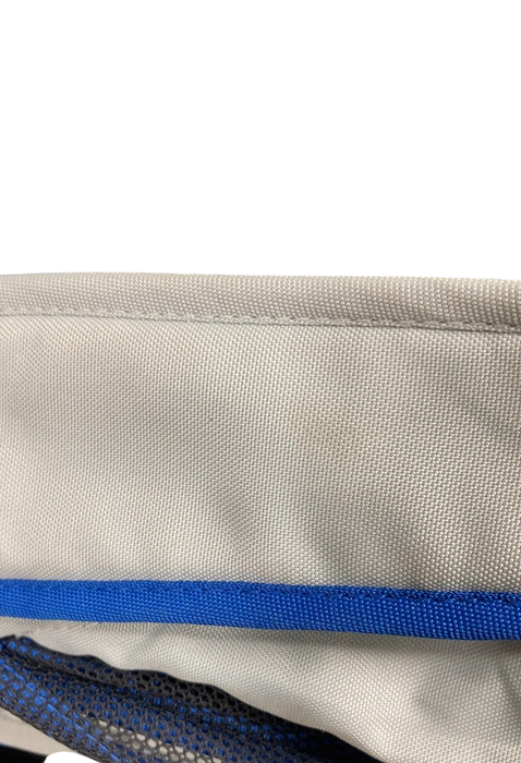 Shop Gladly Family Anthem2 Wagon, Electric Silver at GoodBuy Gear