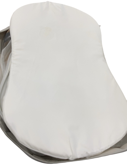 Shop Halo Bassinest Swivel Sleeper 3.0, Grey at GoodBuy Gear