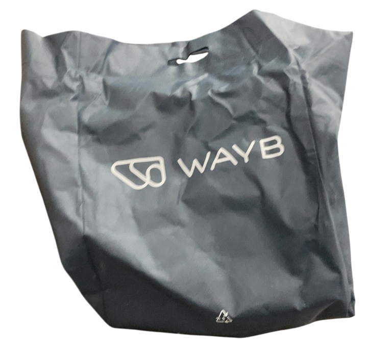 Shop WAYB Pico Portable Car Seat, 2023, Earth at GoodBuy Gear