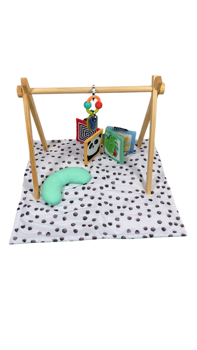 Shop Sassy Sensory Stages Developmental Play Gym at GoodBuy Gear