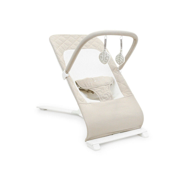 Baby Delight Alpine Deluxe Portable Bouncer, Organic Oat