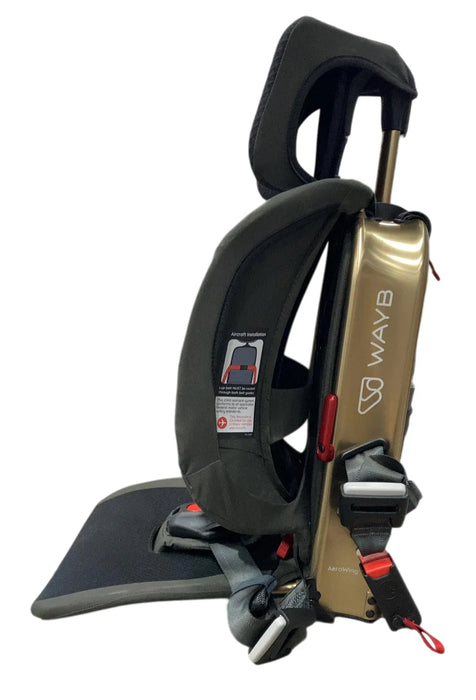 WAYB Pico Portable Car Seat, 2023, Earth