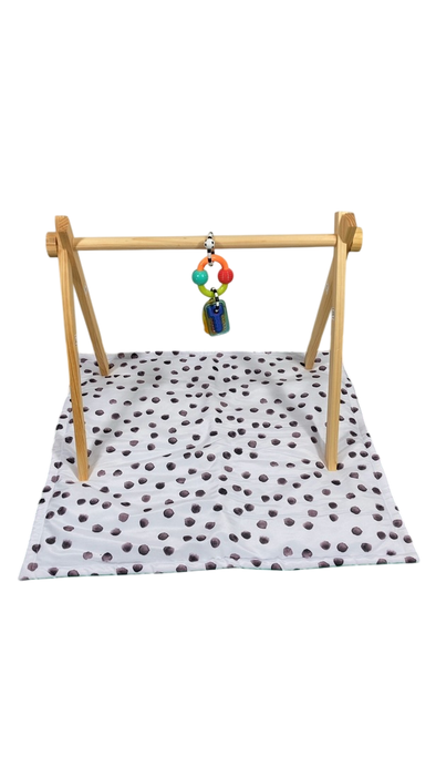 Shop Sassy Sensory Stages Developmental Play Gym at GoodBuy Gear