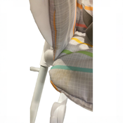 Shop Bright Starts Dine Delight Compact Folding High Chair with 3-Section Plate, Playful Paradise at GoodBuy Gear