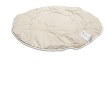 Shop Crane Baby Activity Mat, Cove Sea Life at GoodBuy Gear