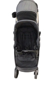Shop Graco Ready2Grow 2.0 Double Stroller, 2024, Rafa at GoodBuy Gear