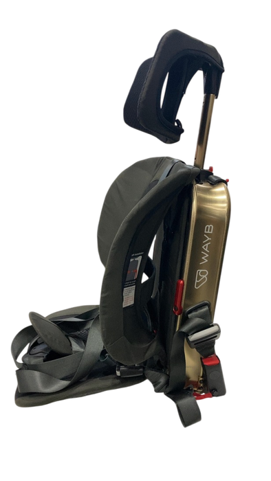 Shop WAYB Pico Portable Car Seat, Earth, 2024 at GoodBuy Gear