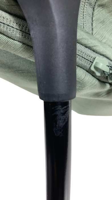 Shop Thule Sapling Child Carrier, Agave at GoodBuy Gear