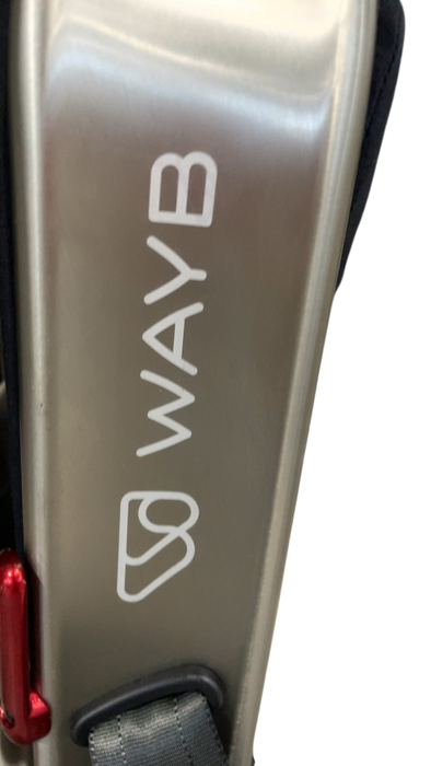 Shop WAYB Pico Portable Car Seat, 2024, Stardust at GoodBuy Gear